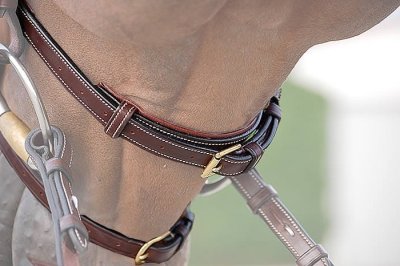 Dy'on D Collection Double Noseband - Image 2