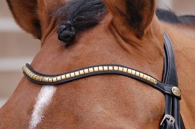 Dy'on D Collection Brass Clincher V Shaped Browband