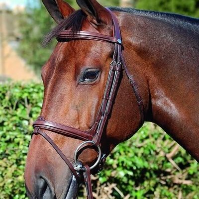 Dy'on New English Collection Flash Noseband Bridle