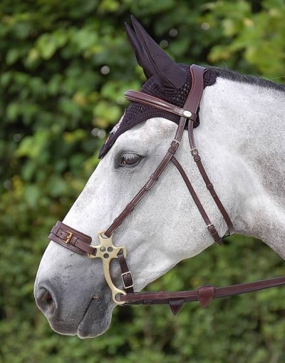 Dy'on New English Collection Hackamore Bridle