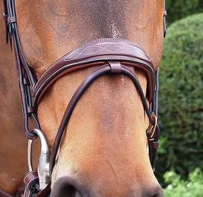 Dy'on D Collection Anatomic Flash Noseband Bridle - Image 2