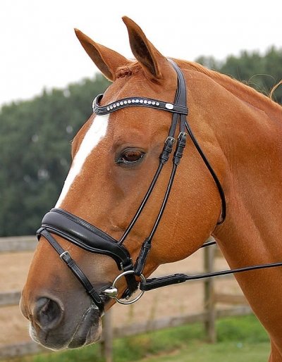 Dy'on Rolled Dressage Collection Large Crank Noseband Bridle With Flash