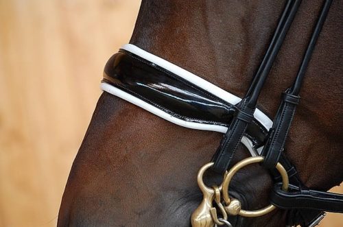 Dy'on Rolled Dressage Collection Large Crank Patent Noseband Double Dressage Bridle White Padding - Image 2