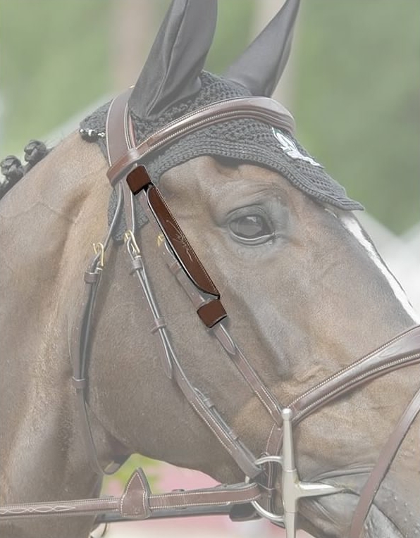 Dy'on Focus Cheek Pieces Butet Saddles, Dyon Equestrian Equipment