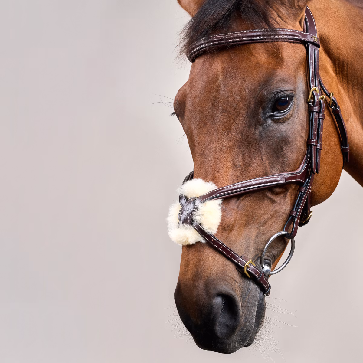 Dy'on D Collection Figure 8 Noseband Bridle - Image 4