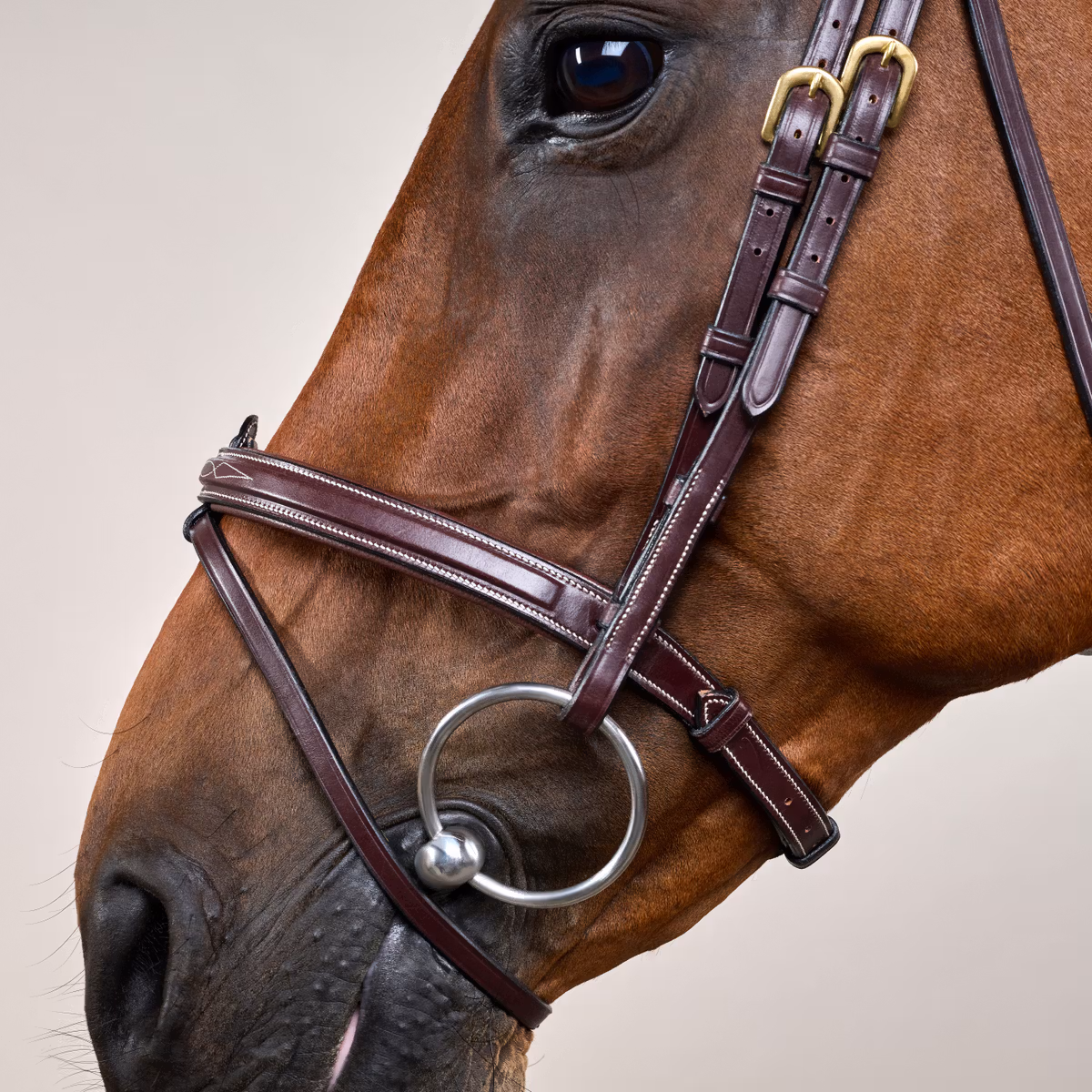 Dy'on D Collection Flash Noseband Bridle - Image 5