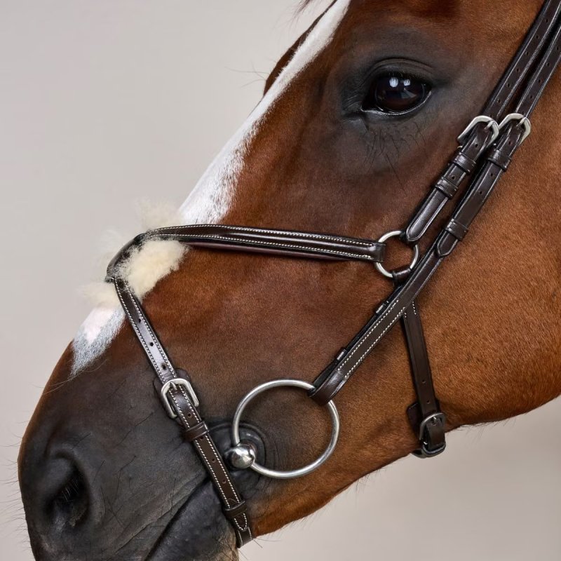 Dy'on Working Collection Figure 8 Noseband Bridle - Image 2