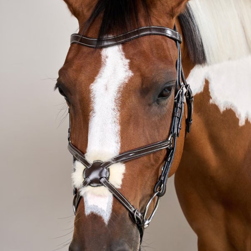Dy'on Working Collection Figure 8 Noseband Bridle - Image 3