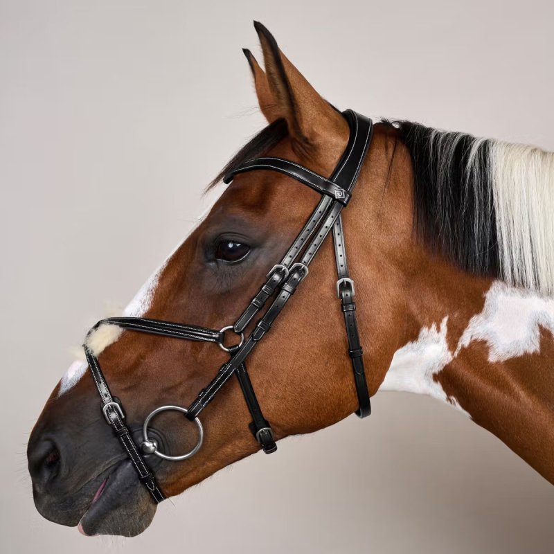 Dy'on Working Collection Figure 8 Noseband Bridle - Image 5