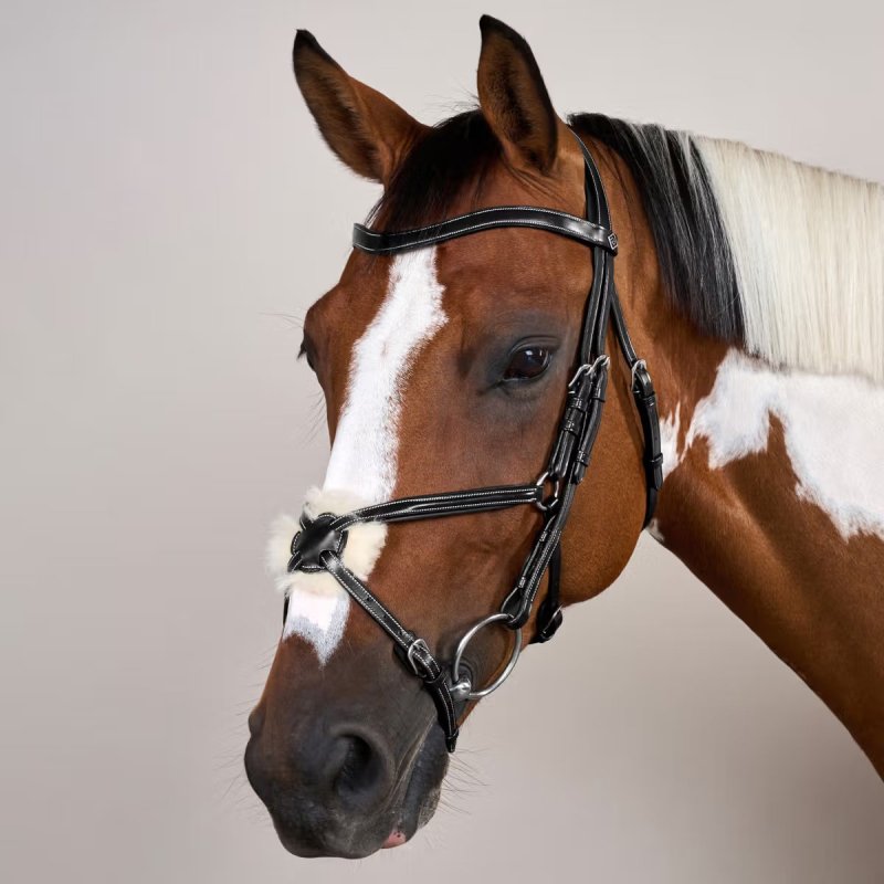 Dy'on Working Collection Figure 8 Noseband Bridle - Image 6
