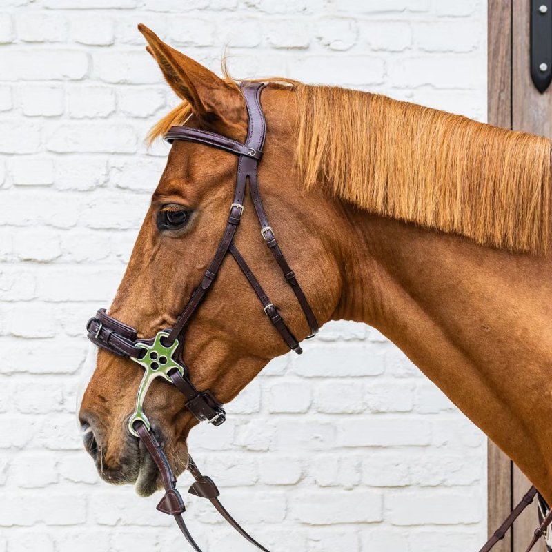 Dy'on New English Collection Hackamore Bridle - Image 2