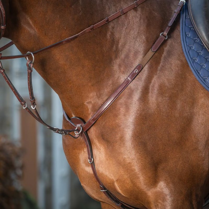 Dy'on New English Collection Running Martingale Attachment - Image 2