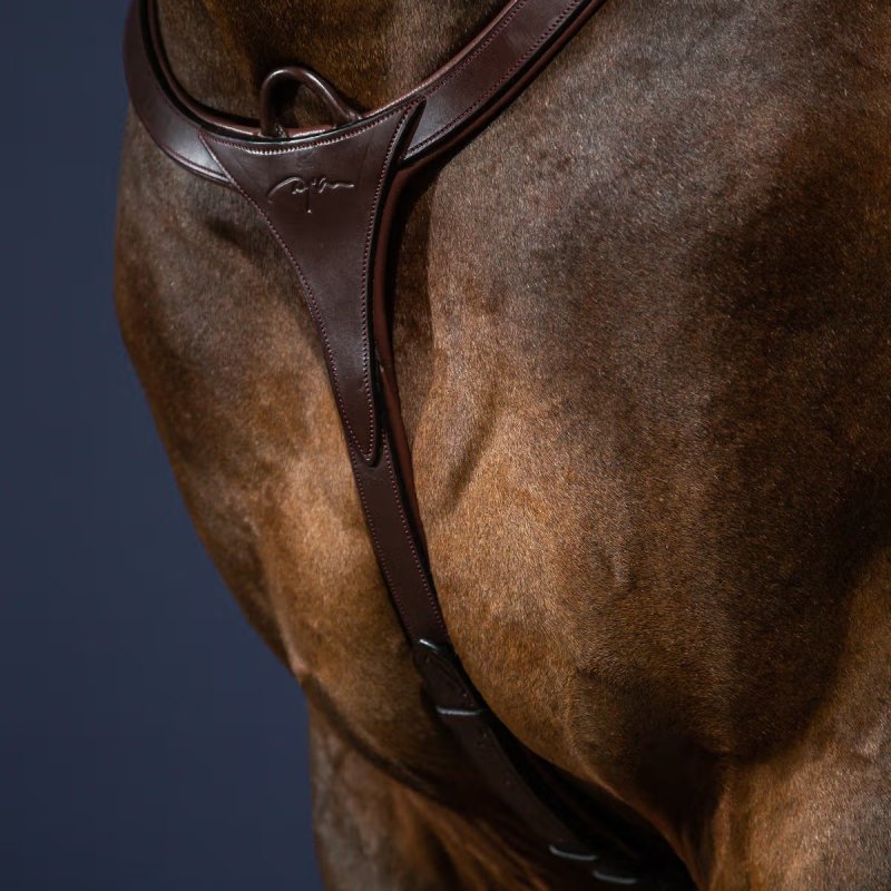 Dy'on New English Collection Long Bridge Breastplate - Image 2