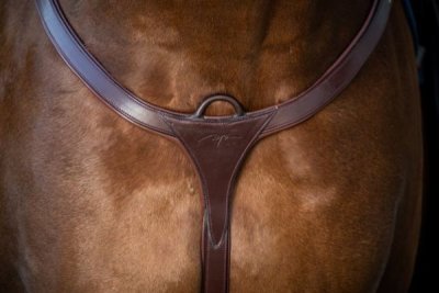 Dy'on New English Collection Long Bridge Breastplate - Image 2