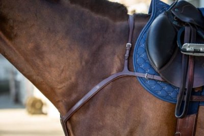 Dy'on New English Collection Long Bridge Breastplate