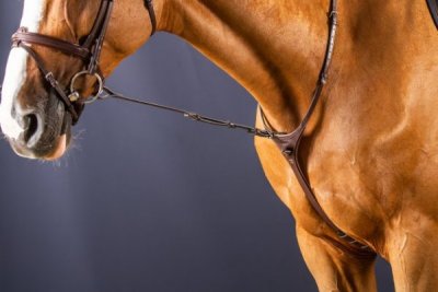 Dy'on New English Collection Standing Martingale Attachment