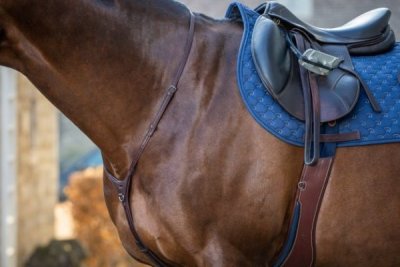 Dy'on New English Collection Yoke