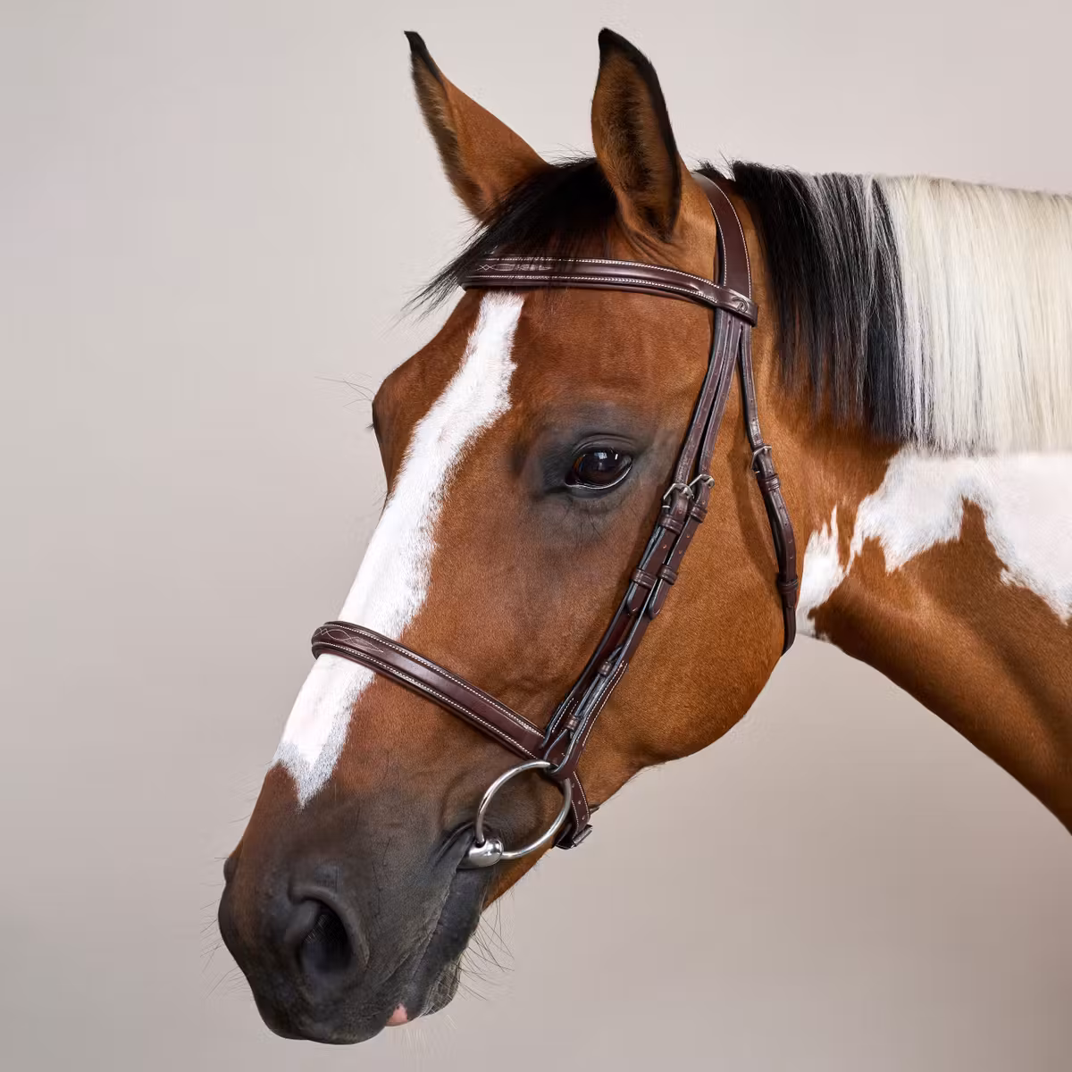 Dy'on US Collection Cavesson Noseband Bridle