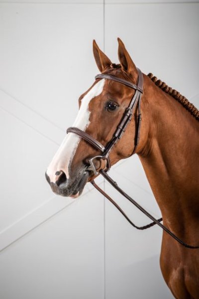 Dy'on Hunter Collection Cavesson Noseband Bridle - Image 2