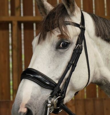 Dy'on Working Collection Large Crank Patent Noseband Double Dressage Bridle