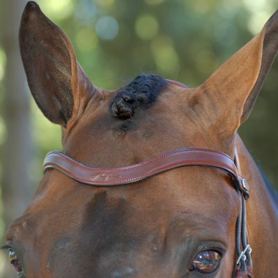 Dy'on New English Collection Flat Leather V Shaped Browband - Image 5