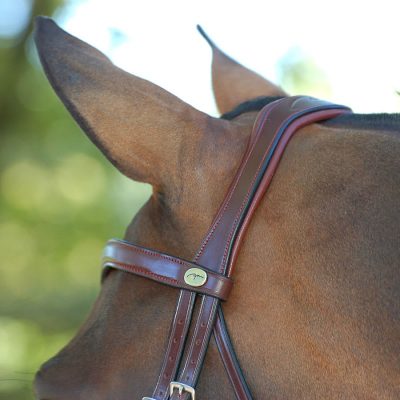 Dy'on Flat Dressage Collection Large Crank Patent Noseband with White Padding Double Dressage Bridle - Image 3