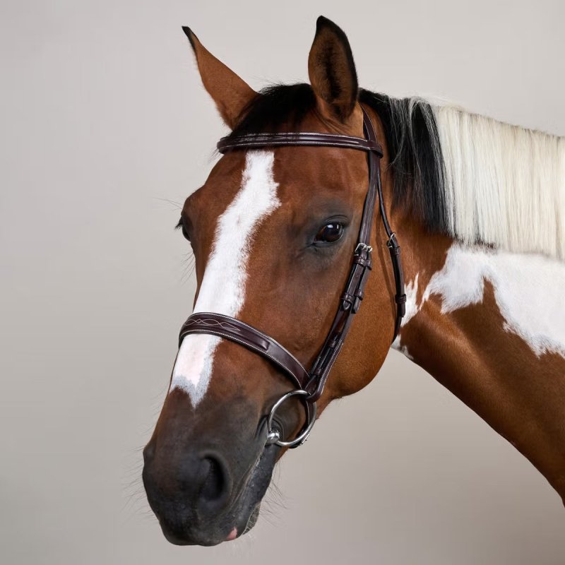 Dy'on US Collection Cavesson Hunter Bridle - Image 4