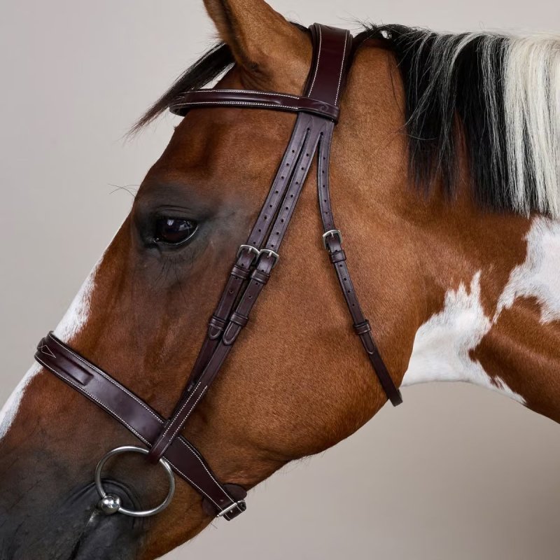 Dy'on US Collection Cavesson Hunter Bridle - Image 2
