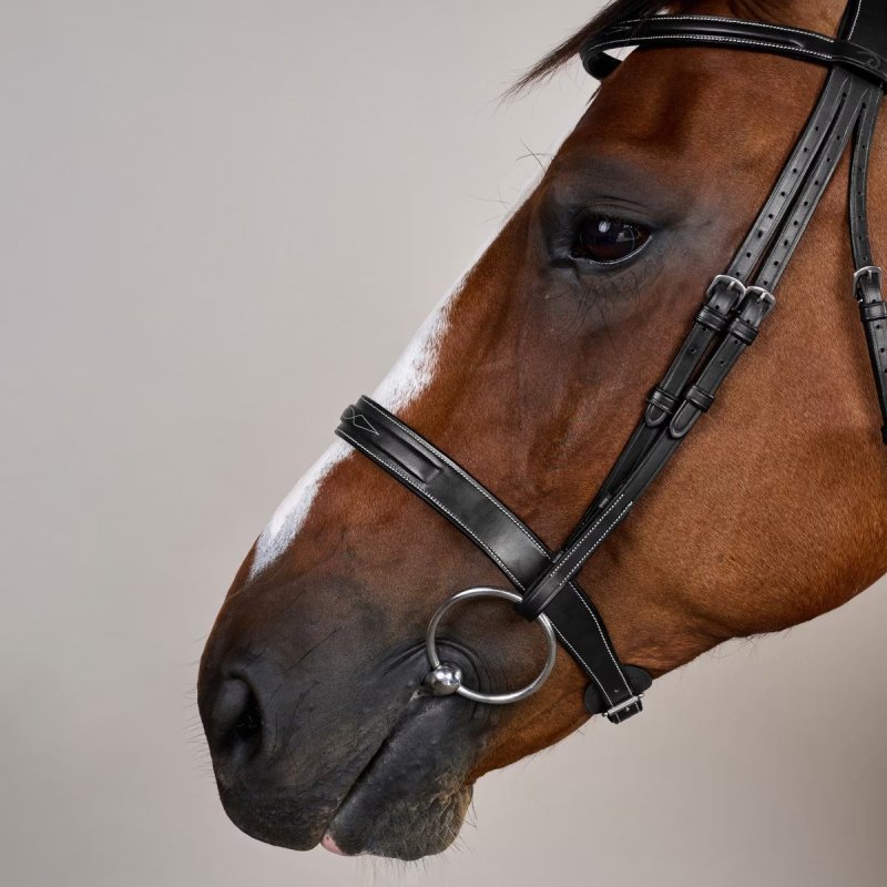 Dy'on US Collection Cavesson Hunter Bridle - Image 3
