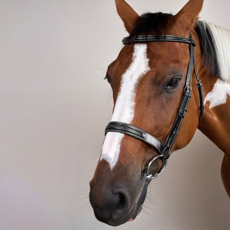 Dy'on US Collection Cavesson Hunter Bridle - Image 6