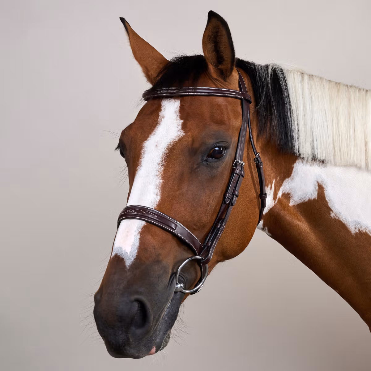 Dy'on US Collection Cavesson Hunter Bridle