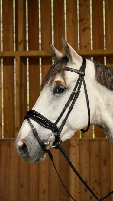 Dyon Rope Crank Drop Noseband 'D Collection