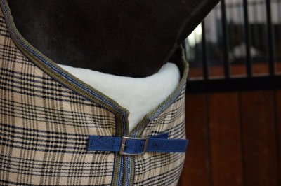 EquiFit Blanket Bib - Image 2