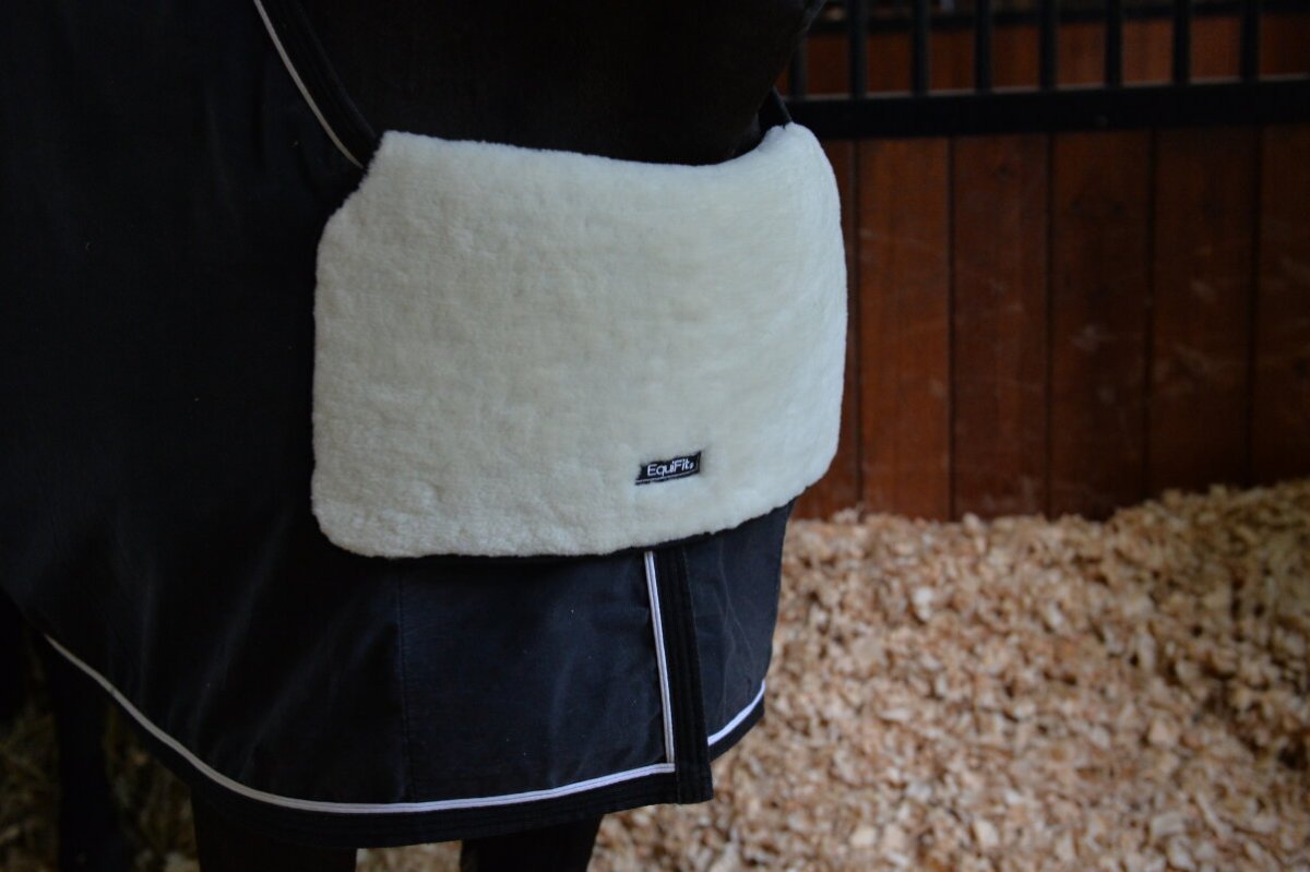 EquiFit Blanket Bib Butet Saddles, Dyon Equestrian Equipment Kelvin