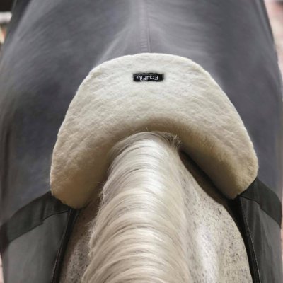 EquiFit Wither Shield - Image 2