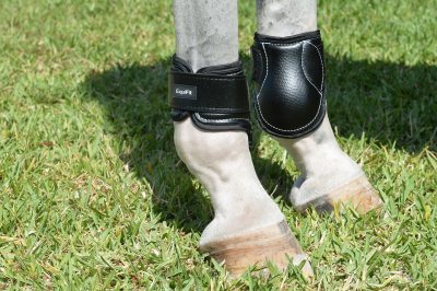 EquiFit Young Horse Boot