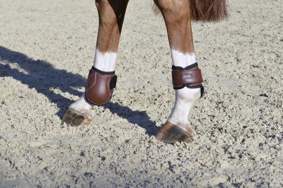 EquiFit Young Horse Boot - Image 2