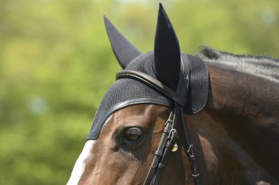 Equifit SilentFit Ear Bonnet