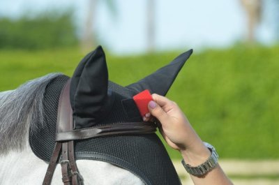 Equifit Heads Up SilentFit Ear Bonnet - Image 2
