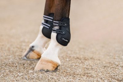 EquiFit Prolete Hind Boots with Elastic Straps - Image 2