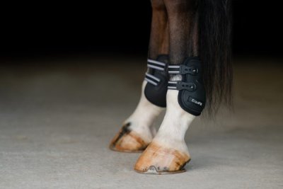 EquiFit Prolete Hind Boots with Elastic Straps