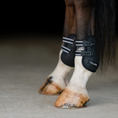 EquiFit Prolete Hind Boots with Elastic Straps