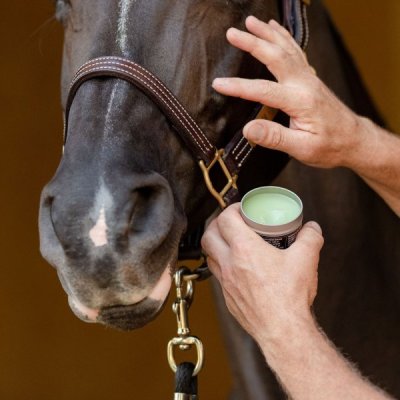 EquiFit Agsilver Clean Balm - Image 2