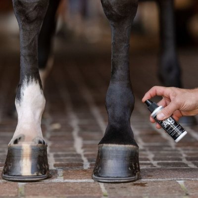 EquiFit Agsilver Wound Spray - Image 2
