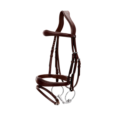 Dy'on New English Collection Anatomic Flash Noseband Bridle