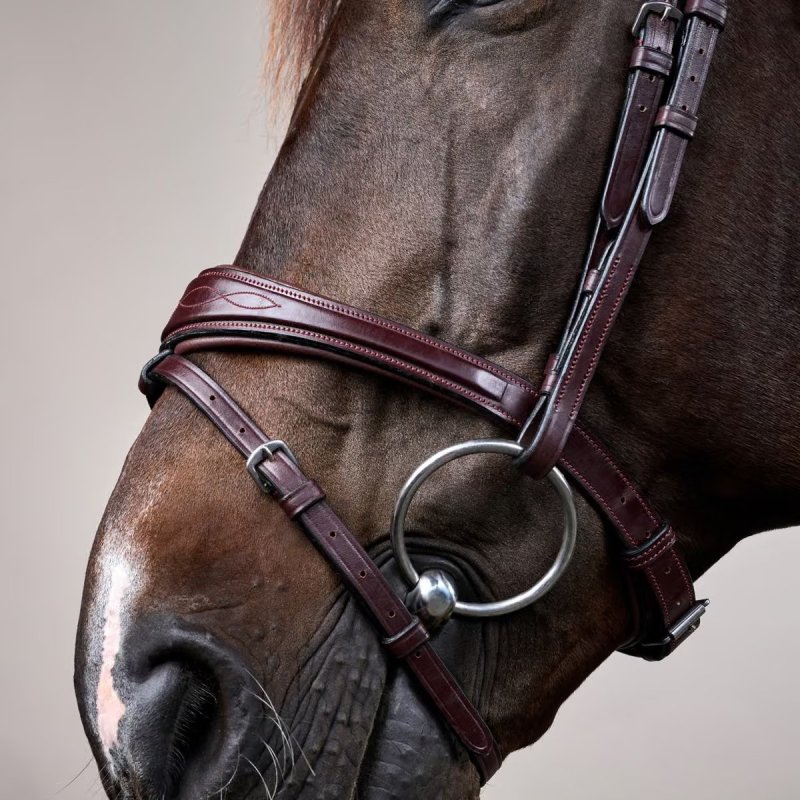 Dy'on New English Collection Anatomic Flash Noseband Bridle - Image 2