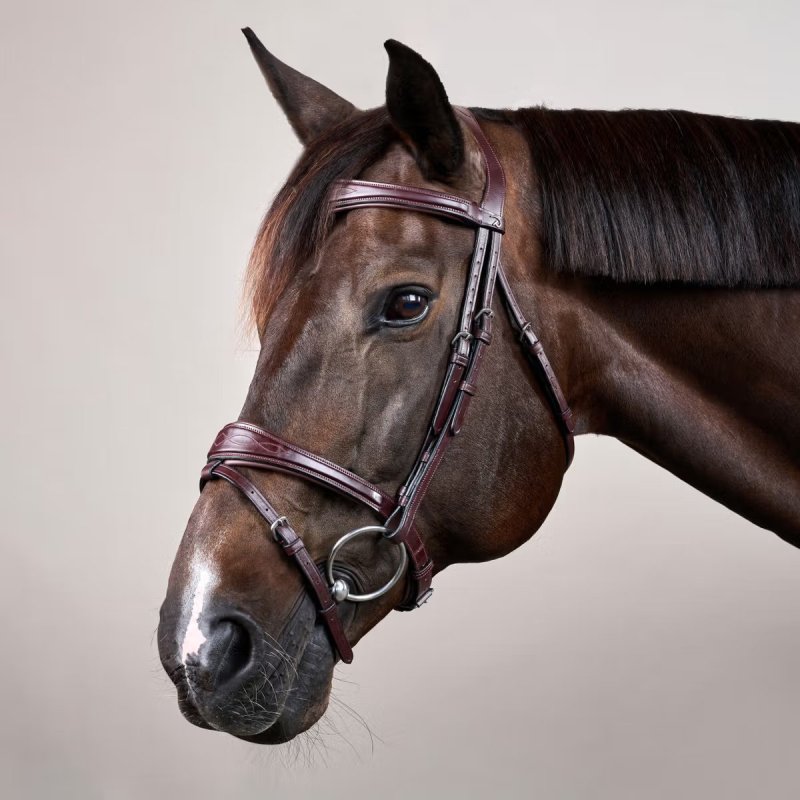 Dy'on New English Collection Anatomic Flash Noseband Bridle - Image 3