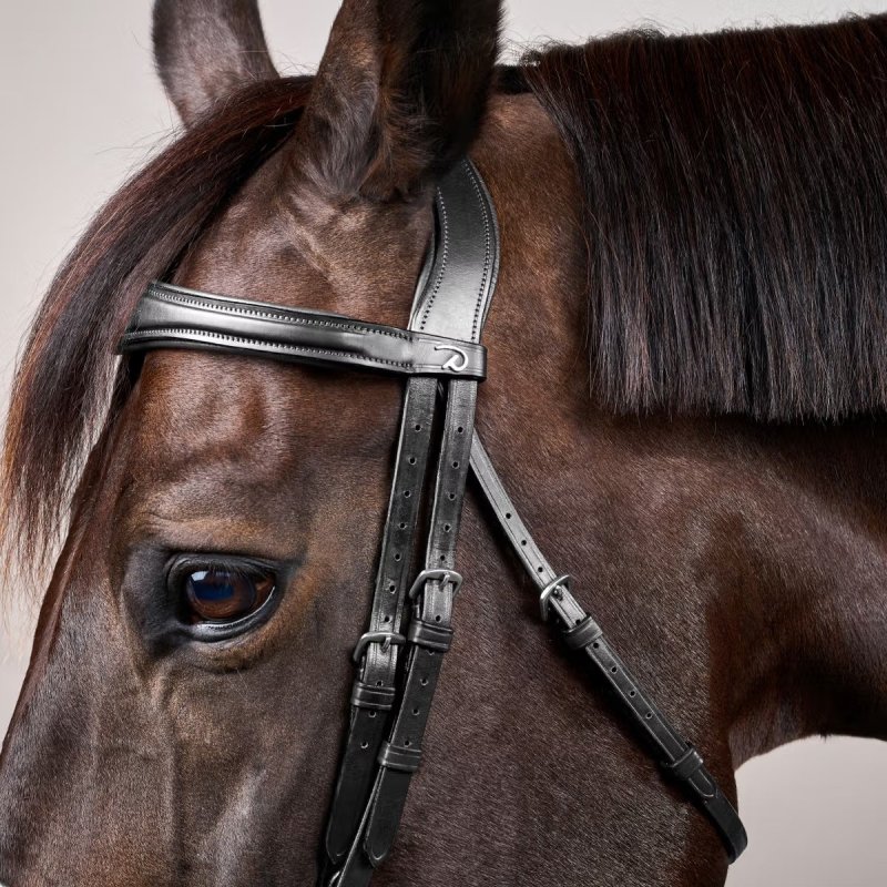 Dy'on New English Collection Anatomic Flash Noseband Bridle - Image 5