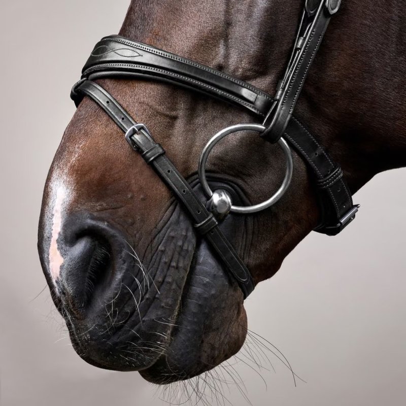 Dy'on New English Collection Anatomic Flash Noseband Bridle - Image 6