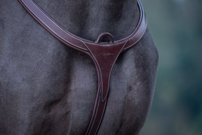 Dy'on D Collection Long Bridge Breastplate - Image 2